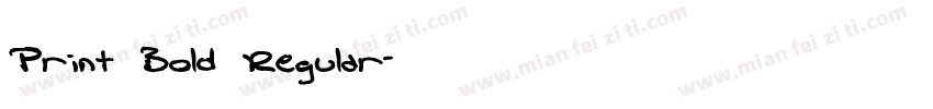 Print Bold Regular字体转换